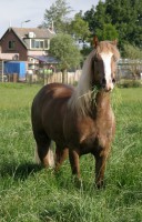 /album/fotos/magic-jpg/