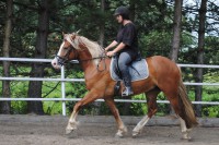 /album/fotos/picasso-jpg/