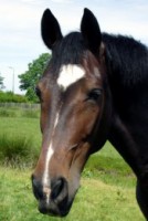 /album/fotos/odinkie-jpg/